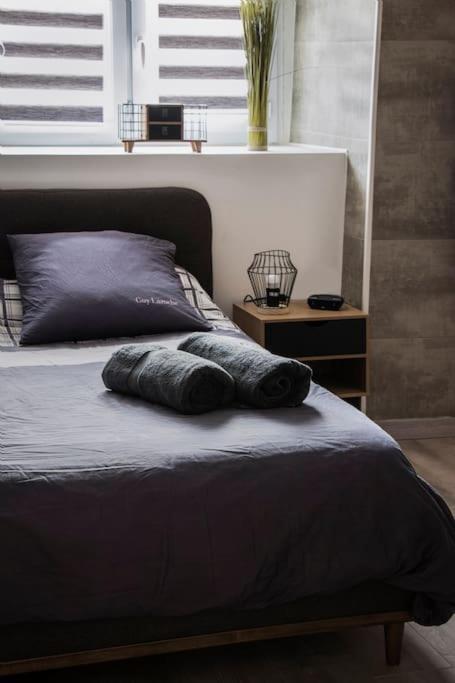 Les 4 Chenes - T2 Refait A Neuf Apartment Le Pont-de-Beauvoisin Екстериор снимка