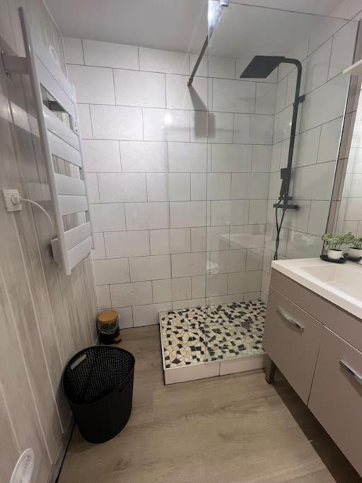 Les 4 Chenes - T2 Refait A Neuf Apartment Le Pont-de-Beauvoisin Екстериор снимка